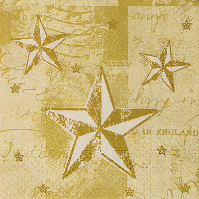   3- 2525  50  ¨    "PAPSTAR" 1/12
